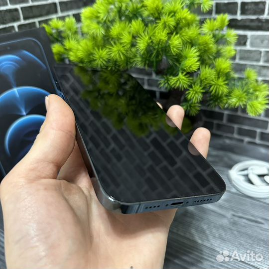 iPhone 12 Pro Max, 128 ГБ