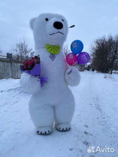 Мишка умка и Мишка Тедди