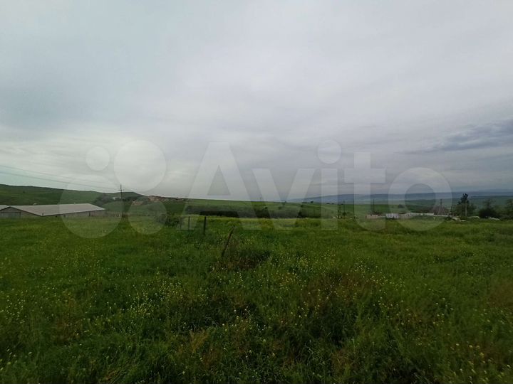 Участок 39,5 сот. (СНТ, ДНП)
