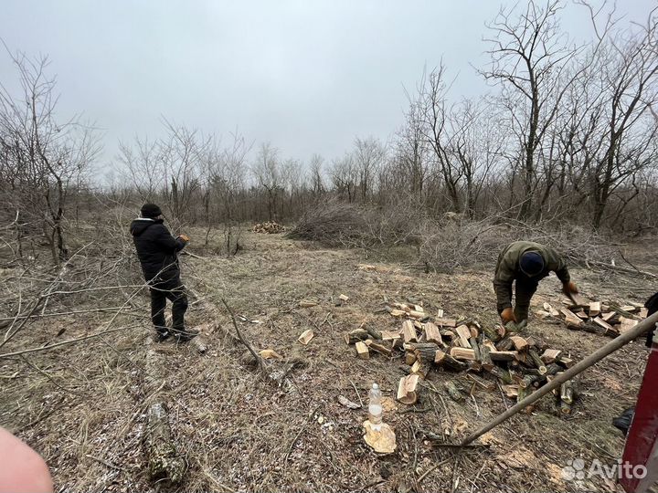 Дрова рубленый твердой породы