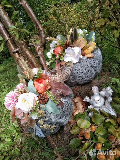 Декоративная тыква