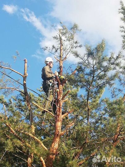 Аварийный ремонт кровли. Мелкий ремонт