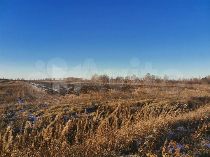 Участок 7,8 га (СНТ, ДНП)