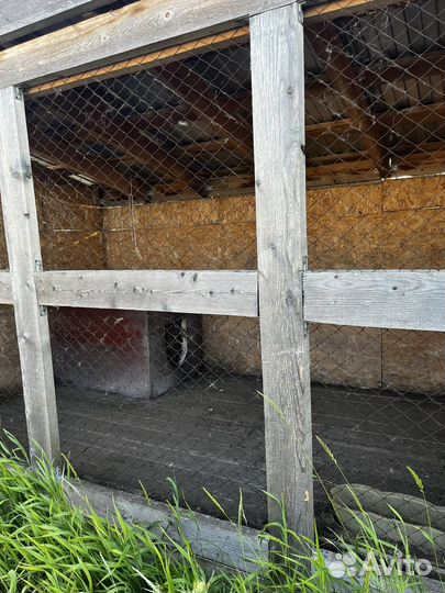 Вольер для собак