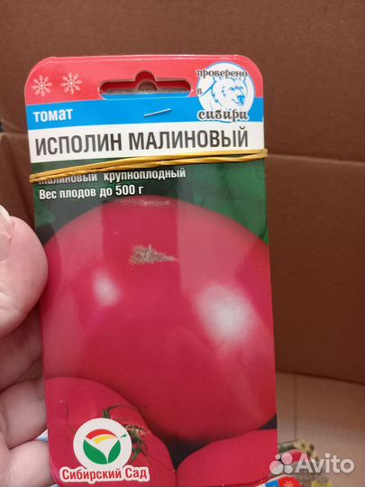 Семена овощей и зелени