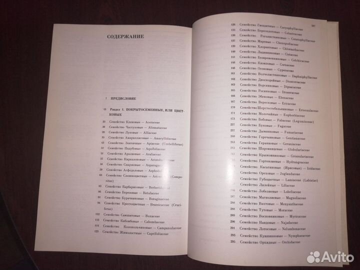 Красная книга РСФСР. Растения