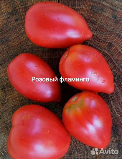 Семена элитных сортов томатов