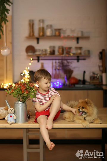 Семейная фотосессия, фотосъемка, фотограф