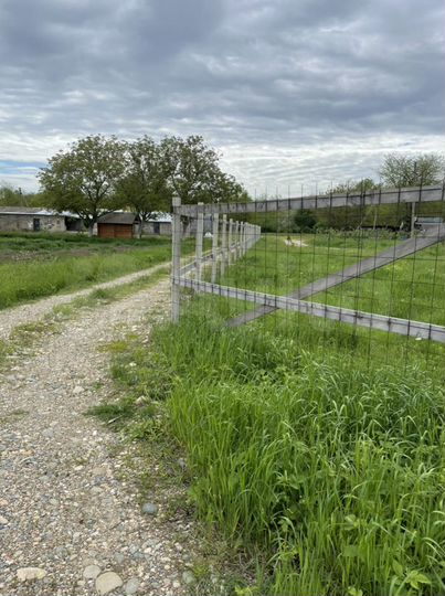 Участок 85 сот. (СНТ, ДНП)