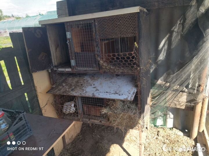 Клетка для кроликов с маточником