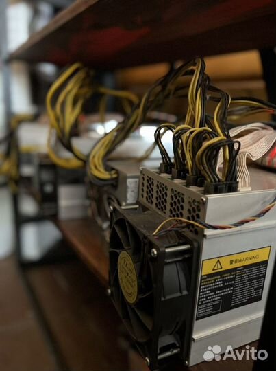 Asic майнер l3 +