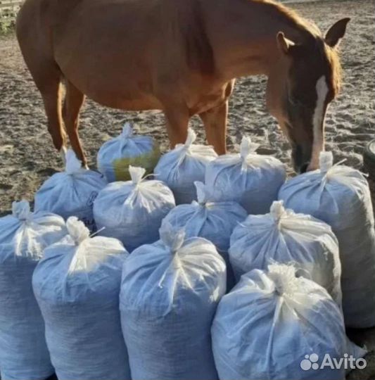 Конский перегной