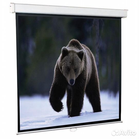 Экран для проектора ScreenMedia Goldview SGM-4304