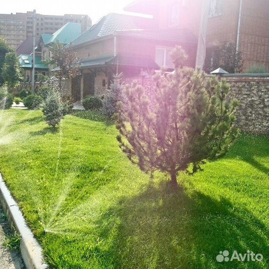 Система автополива с монтажом и гарантией