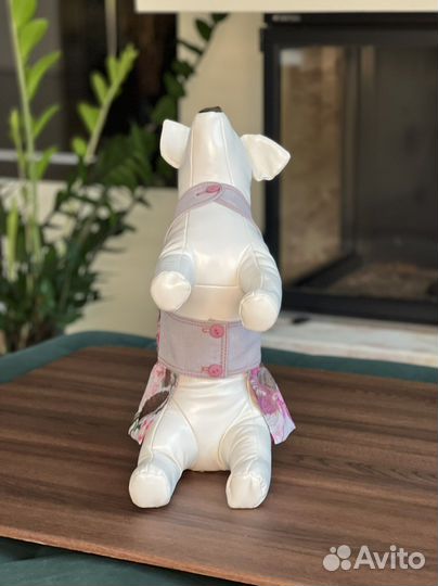 Одежда для собак