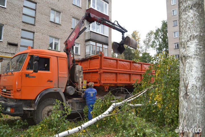 Обрезка кустов и деревьев