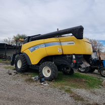 Есектердің фотосы