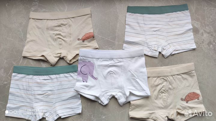 Трусы боксеры Zara 110 для мальчика