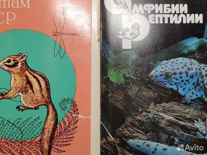 Наборы открыток СССР