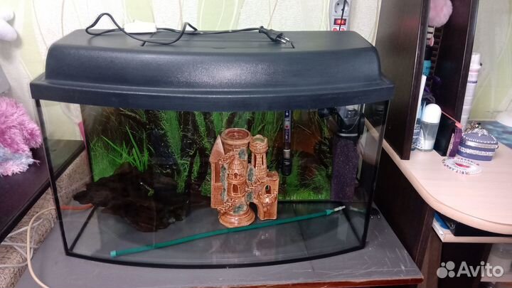 Аквариум-телевизор