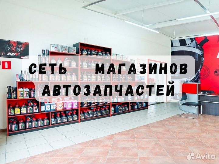 Успешная Франшиза 2023