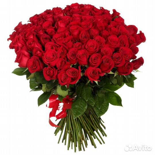 Букет из 101 розы Страсть