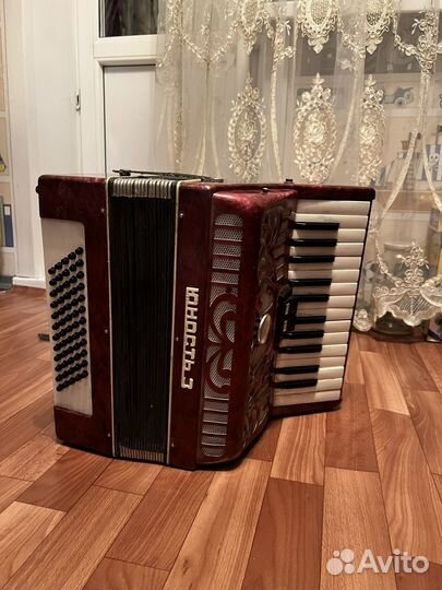 Аккордеон юность 3