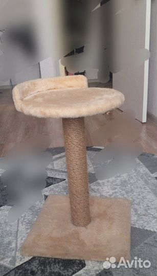 Когтеточка