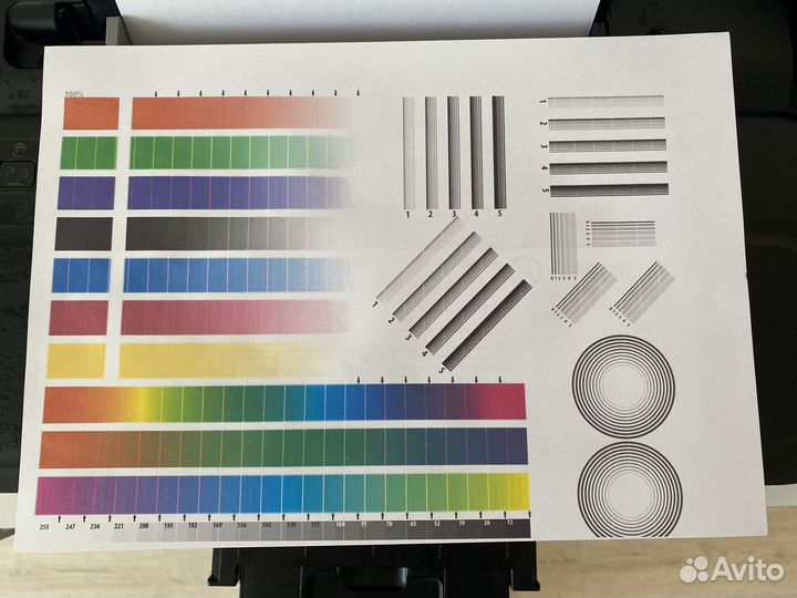 Принтер epson l110