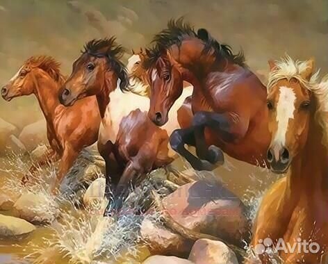 Картина по номерам 40x50 Галоп лошадей по каменист