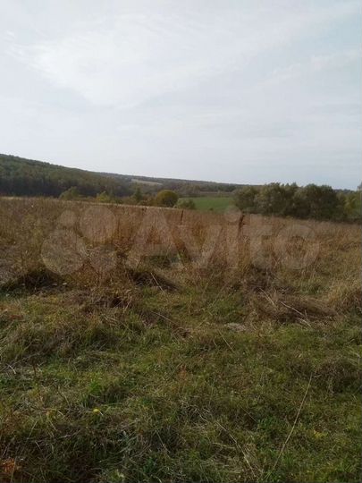 Участок 100 сот. (ИЖС)