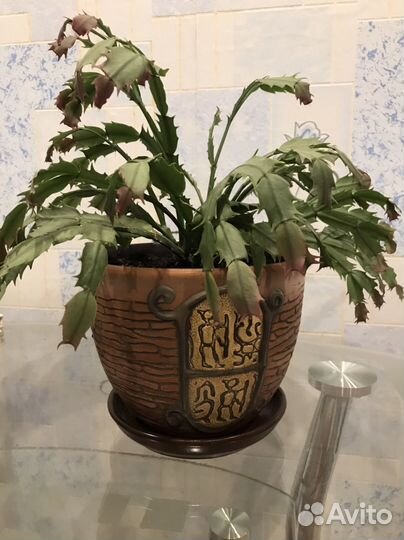 Горшок для цветов