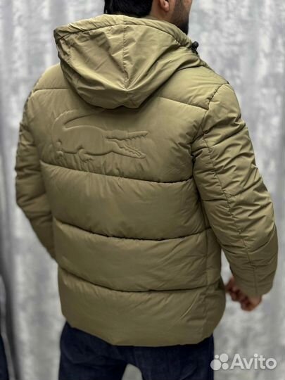 Куртка мужская Lacoste