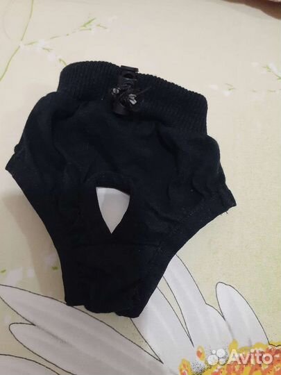 Товары для животных