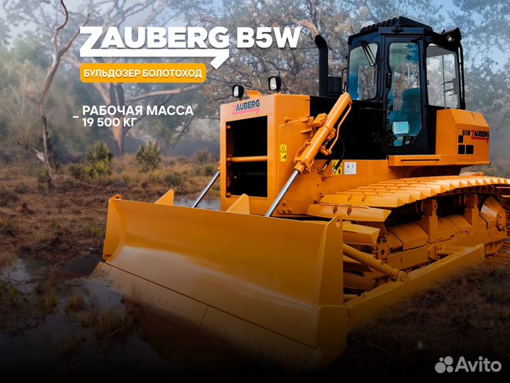 Zauberg B5W, 2024