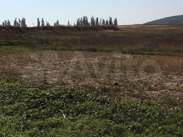 Участок 20 сот. (ИЖС)