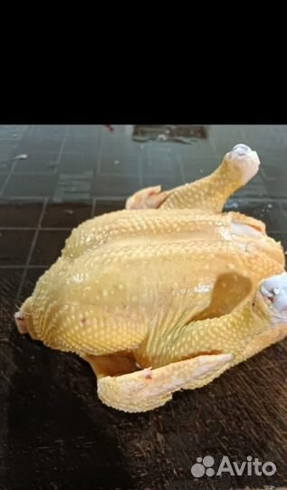 Куры бройлеры тушки мясо