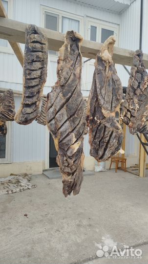 Сушенная колбаса