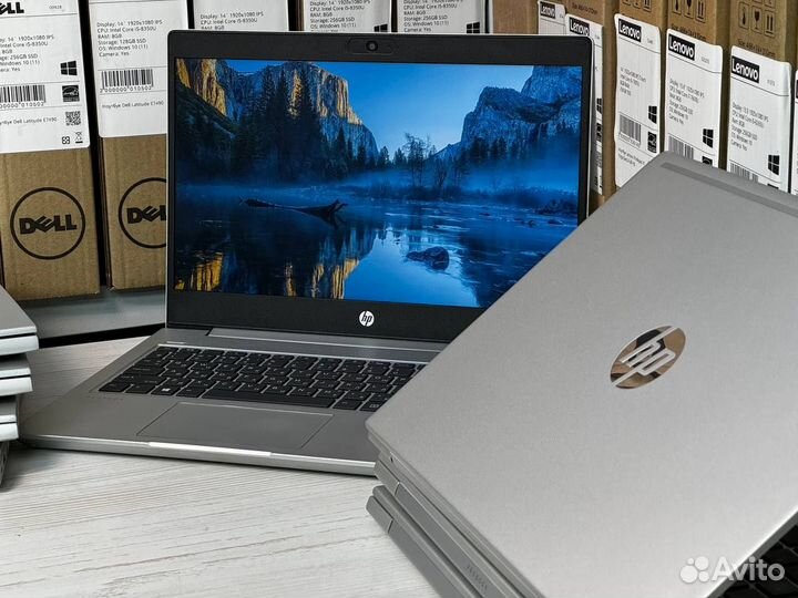 6 ядерный ноутбук HP ProBook 445 G7