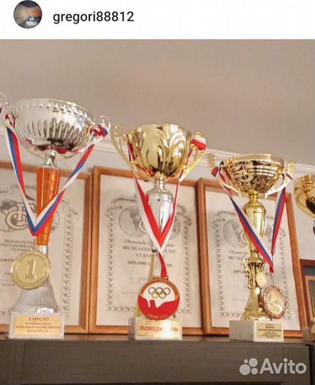 Спортивные голуби