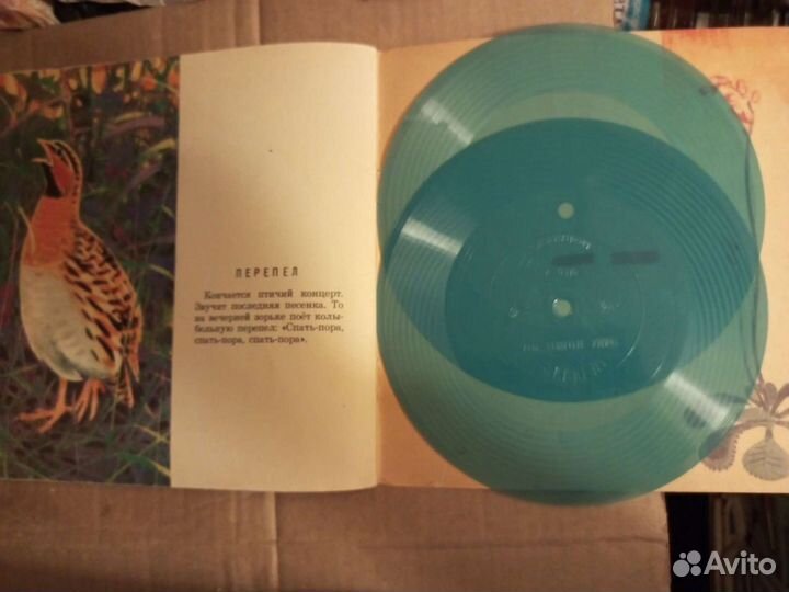 Ретро детская книжка. Голоса Певчих Птиц