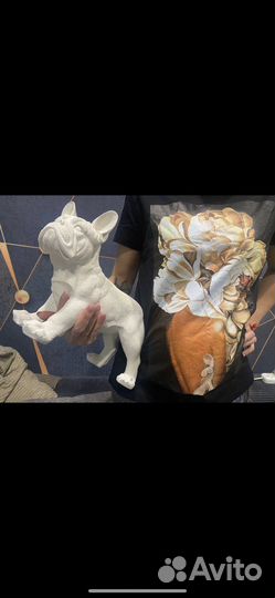 Бульдог, Йорк, питбуль - собака по фотографии