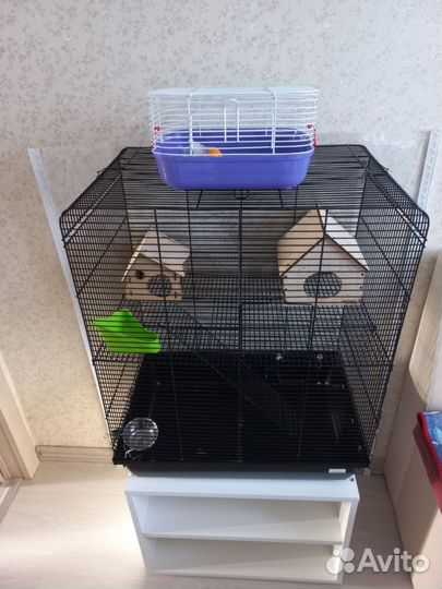 Клетка для грызунов inter zoo remy Black - 4 этажа