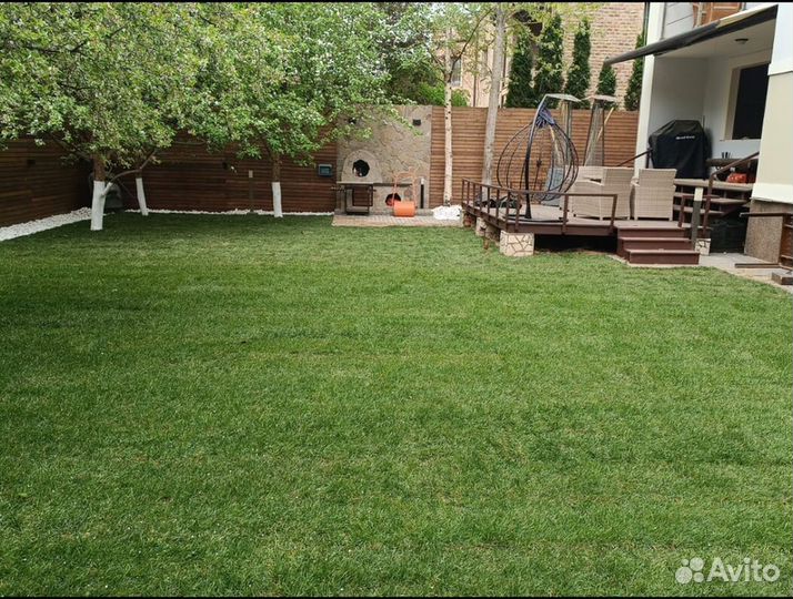 Рулонный газон под ключ Стандартный