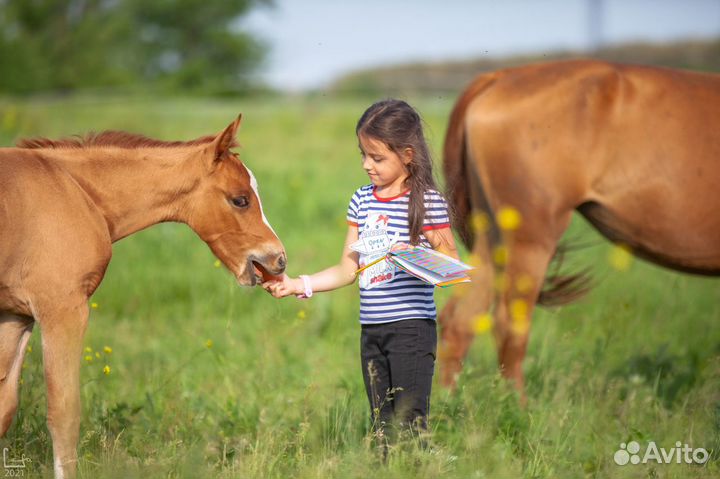 Экскурсии в табун Донских лошадей