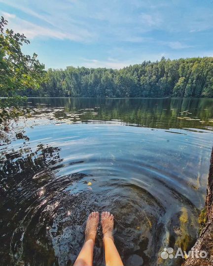 Пеший поход 