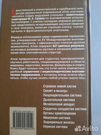 Анатомия человека
