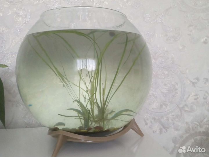 Продам аквариум 2000