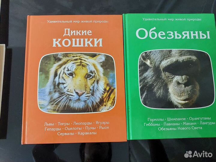 Книги про животных