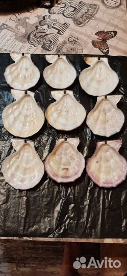 Ракушки для заливки свечей